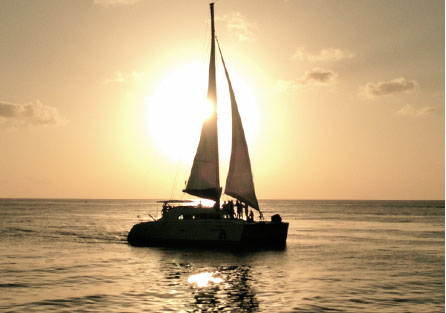 Elegance Catamaran - Sunset Dinner Cruise