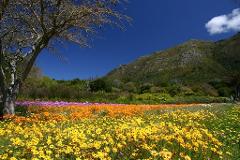 EXPLORE SOUTH AFRICA - 03 South Africa Tour(06Days/05Nights)(1 ADULT)