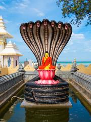  EXPLORE SRI LANKA -15  Jaffna – Trincomalee – Polonnaruwa – Sigiriya – Dambulla – Kandy – Colombo(7Days/ 6Nights)(1 ADULT )