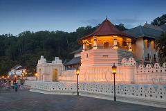 EXPLORE SRI LANKA -31 Kandy – Nuwara Eliya – Ella – Madolsima – Yala – Mirissa – Galle – Colombo (9Days/8Nights)( 1 ADULT)
