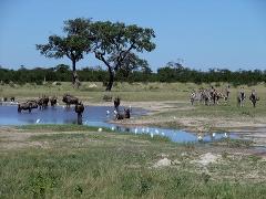 EXPLORE SOUTH AFRICA - 05 South Africa Tour(08Days/07Nights)(1 ADULT)