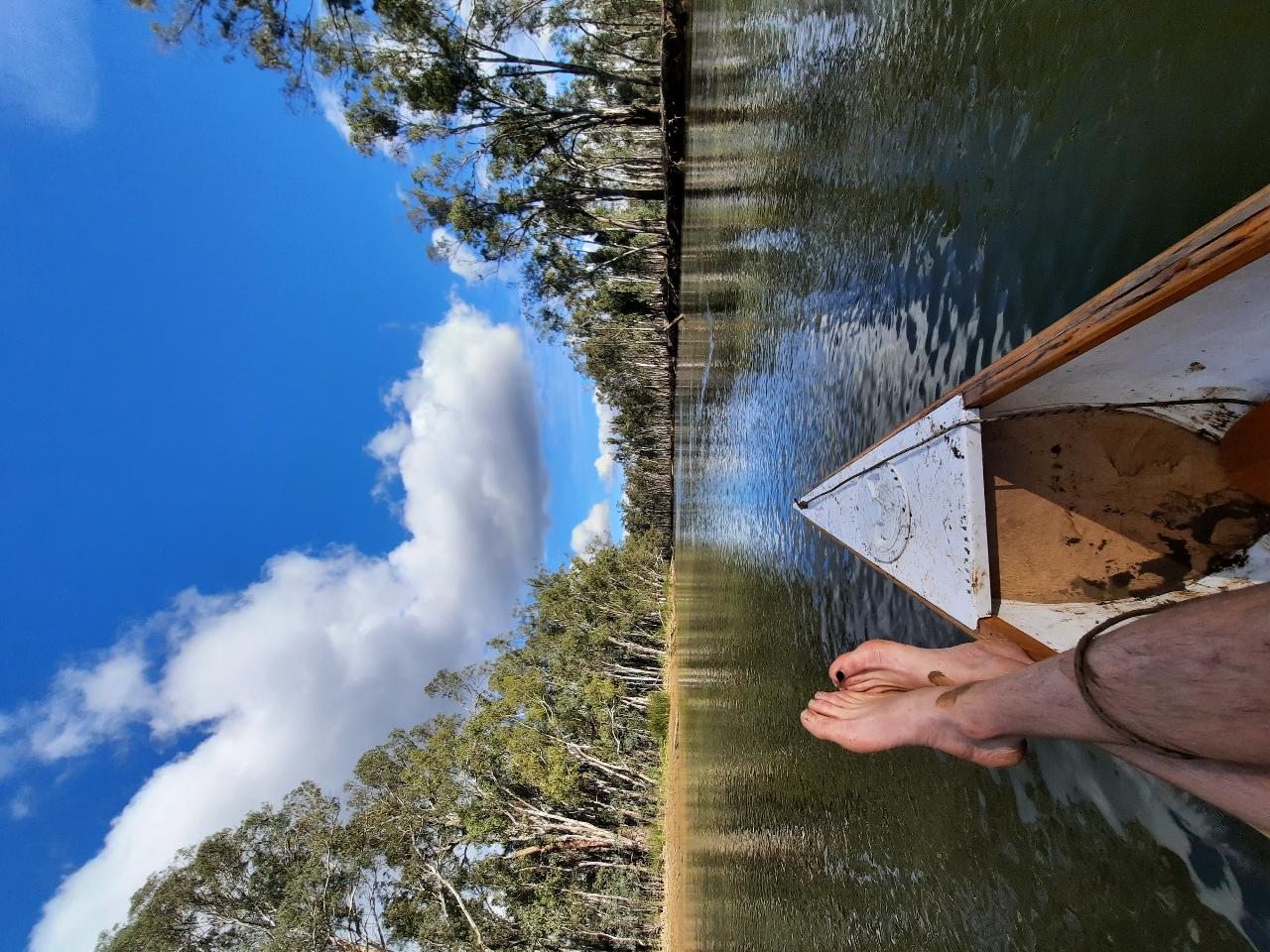 Murray River Canoe Expediton with Artist in residence