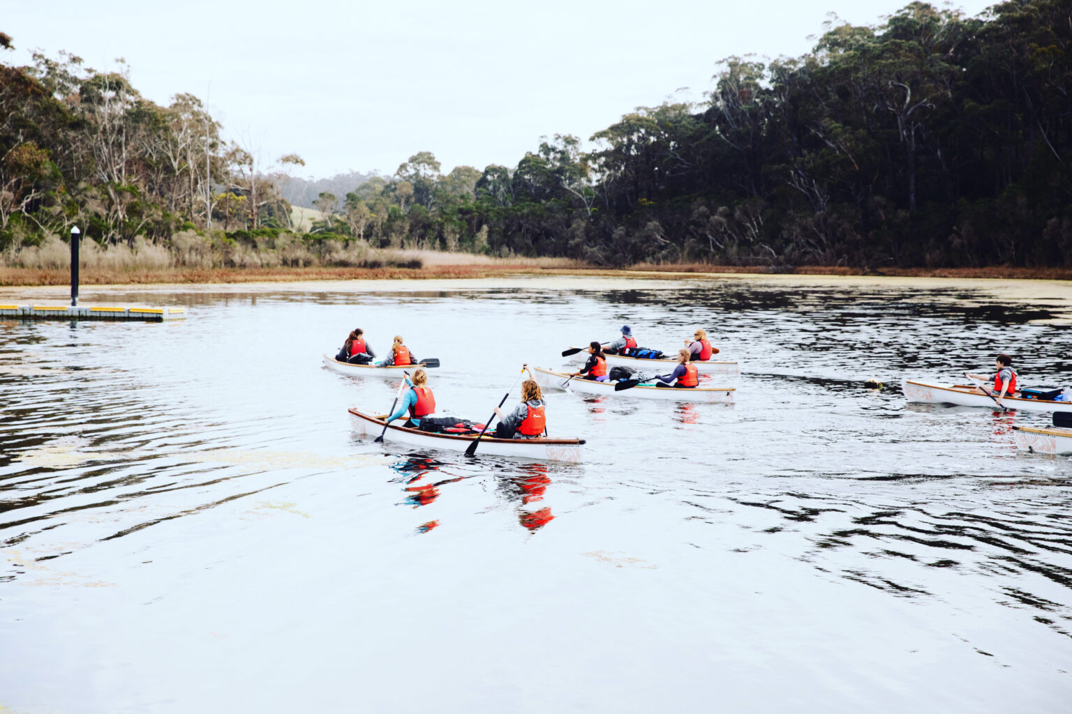 Murray River Canoe Expedition With Artist In Residence