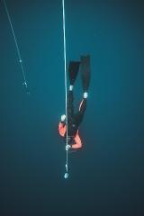 Freediving Course - Coffs Harbour - 2 Day