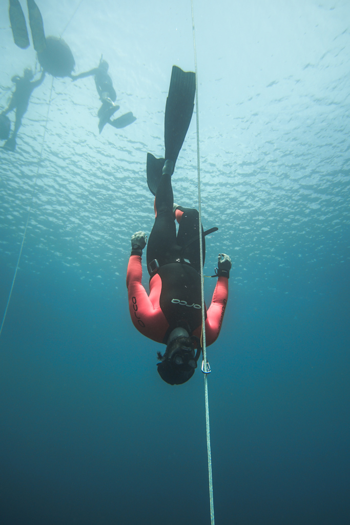 Level 2 Freediving Course | Gold Coast | 3 - 4 Day