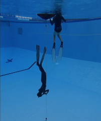 Freediving Confidence Refresher - Sunshine Coast