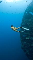 Bali Freediving Retreat