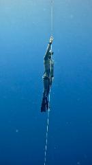 Level 3 Freediving Course | Airlie Beach | 3 - 4 Day