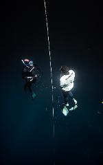 Molchanovs or SSI Instructor Course @ Bali Freediving Retreat