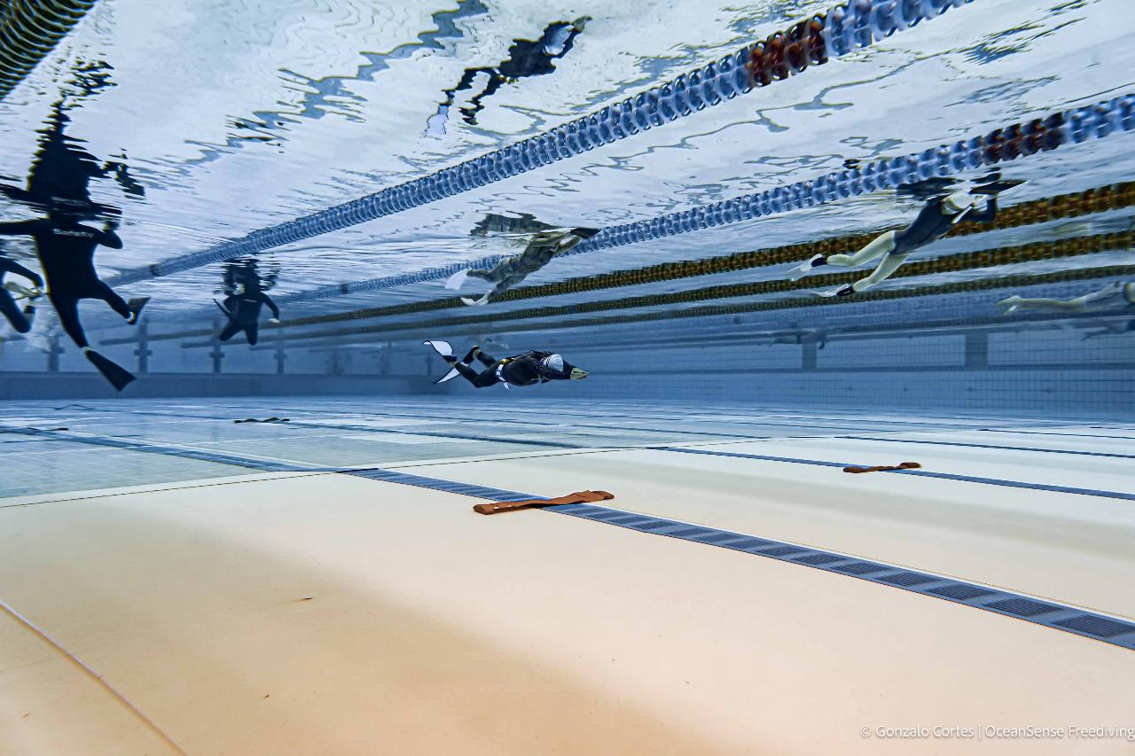 Basic Freediver Course - Brisbane