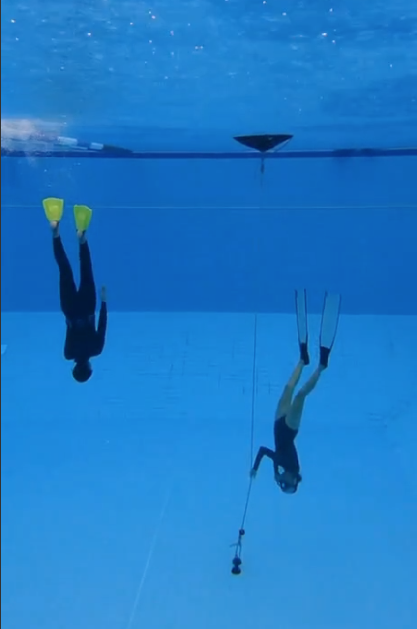 Discover Freediving - Brisbane