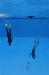 Discover Freediving - Gold Coast