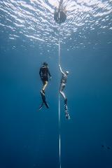 Level 3 Freediving Course | Gold Coast | 3 Days