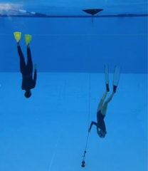 Freediving Confidence Refresher - Gold Coast