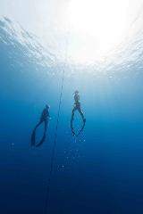 Freediving Depth Camp - Cairns Lake Barrine
