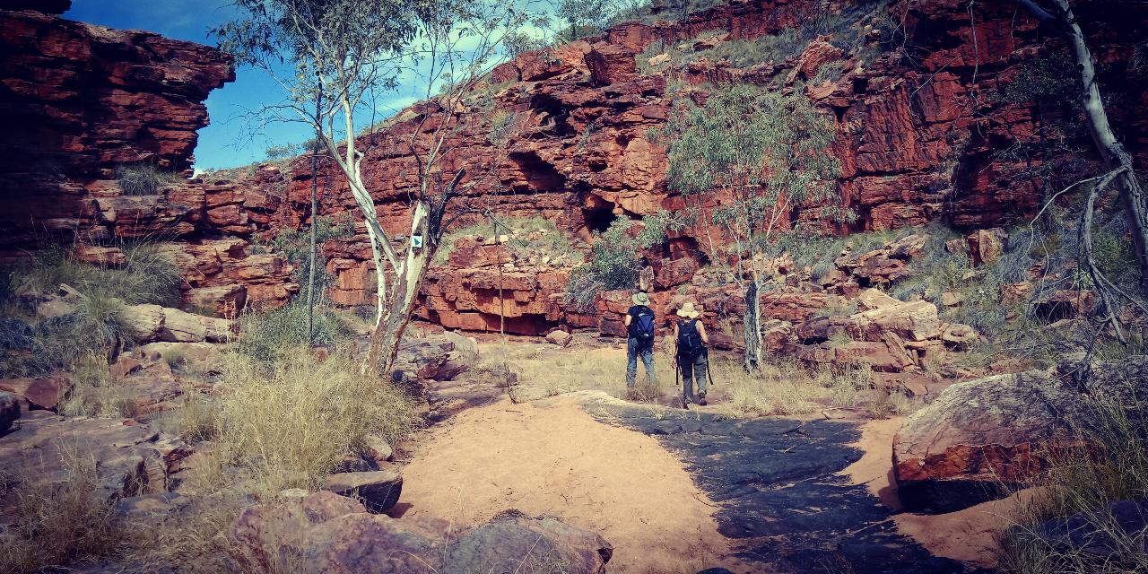 Tracks & Trails - East MacDonnell Ranges - Small Group Tour - 4WD - Full Day