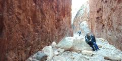 South of the Larapinta Trail -  Private Tour - Half Day