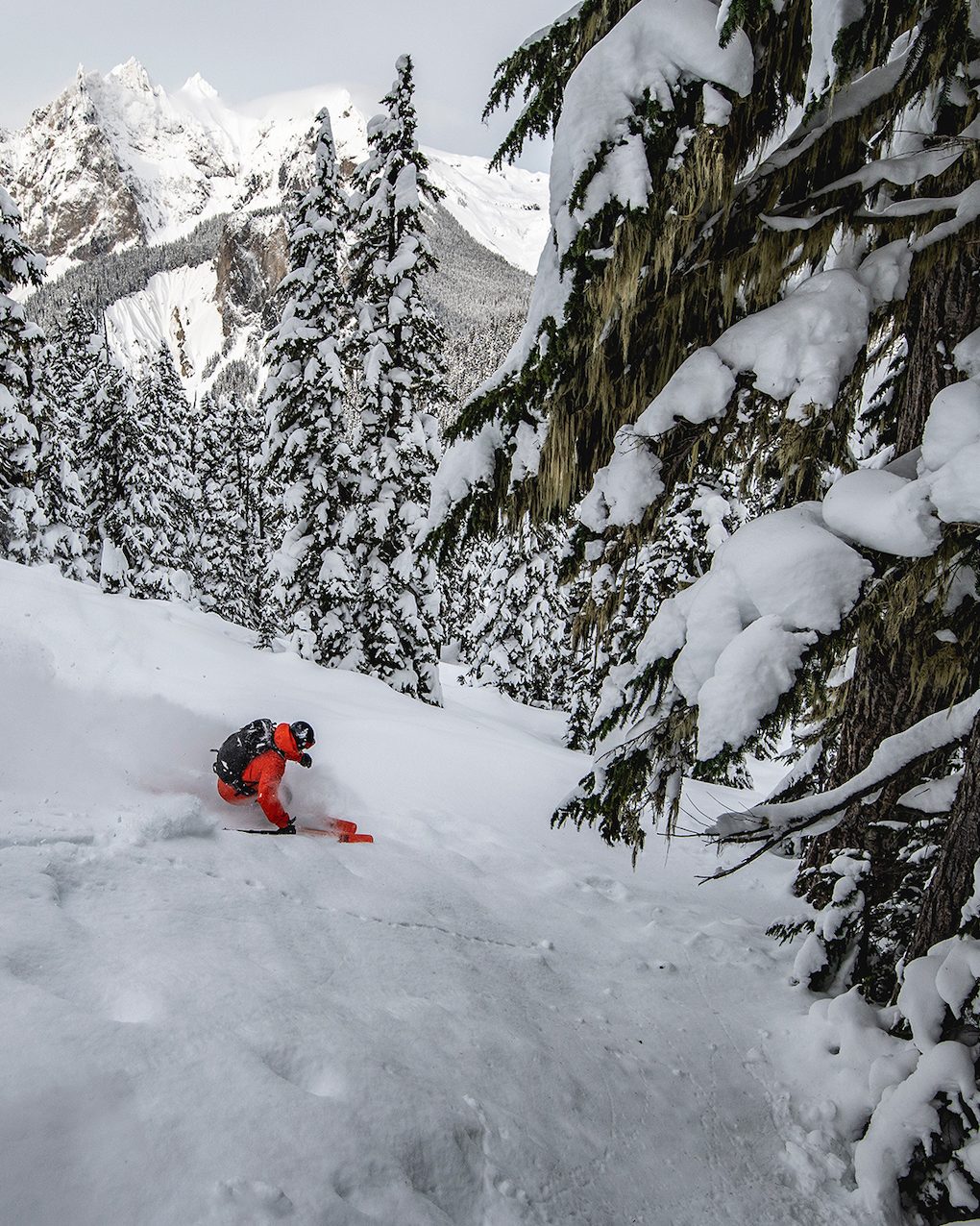 Foundations Guided Backcountry Tour (Whistler / Blackcomb) - Winterstoke 2025