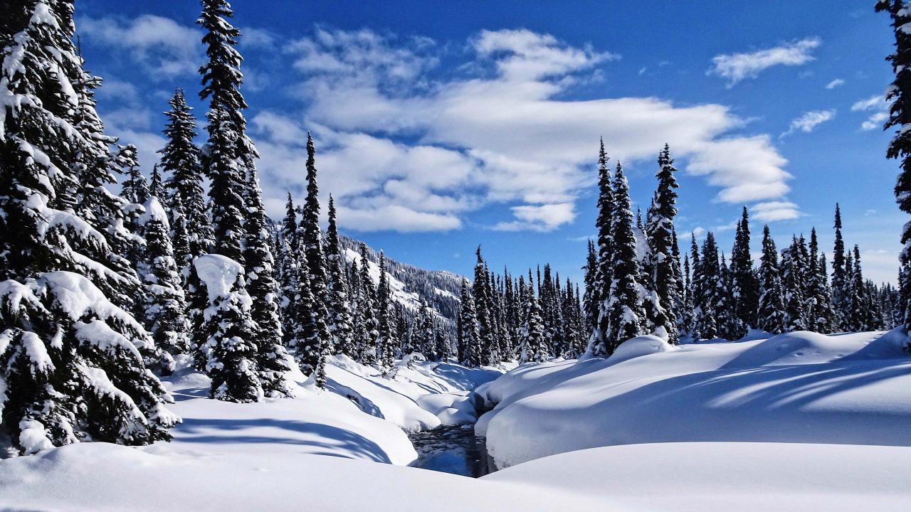 Journeyman Lodge backcountry touring - 5 day
