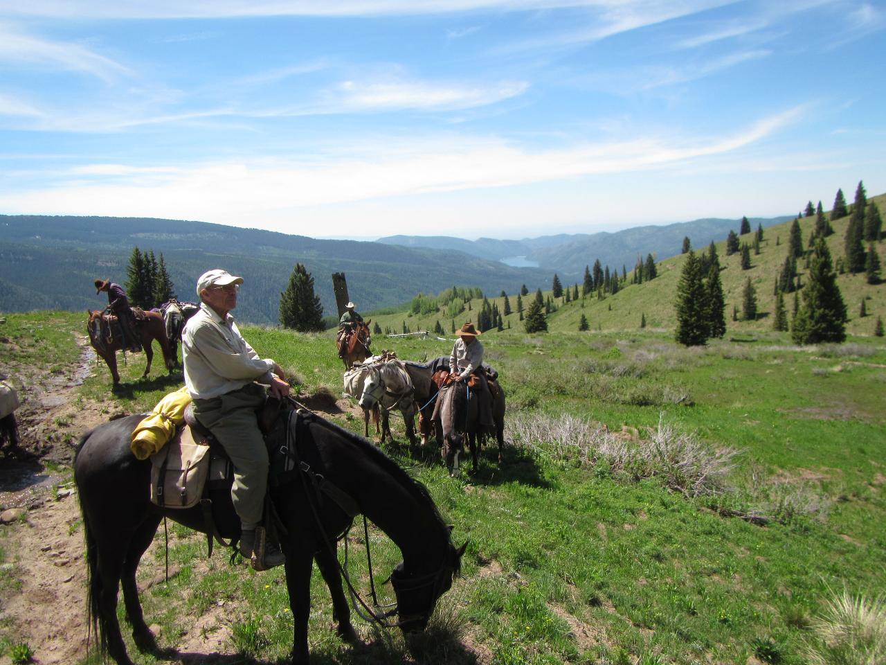 Custom Day Ride in the Weminuche Wilderness (By Request-- Call Us)