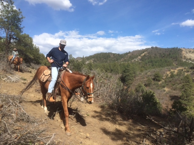 2 Hour Horseback Ride: Rincon Ridge Saddle