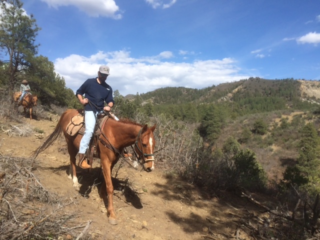 2 Hour Horseback Ride: Rincon Ridge Saddle - Over the Hill Outfitters ...