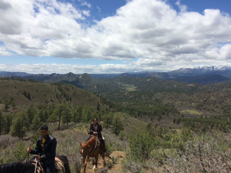 1.5 Hour Custom Horseback Ride: Ranch View Ridge