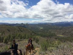 1 Hour Horseback Ride: Ranch View Ridge