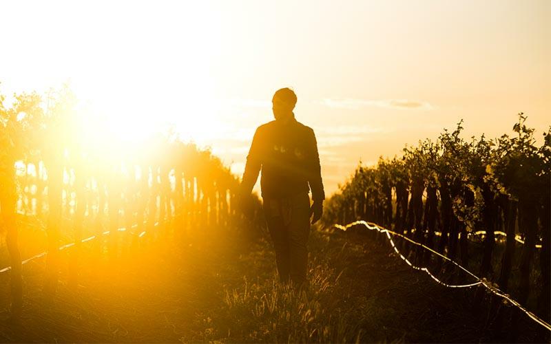 A Trail of Taste and Time