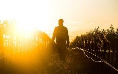 A Trail of Taste and Time