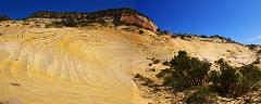 Mystical Slot Canyon With White Wave Tour