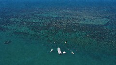 Great Barrier Reef Snorkel Tour