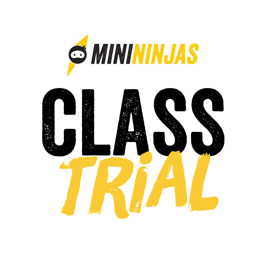 Mini Ninjas Free Trial (3 - 6 years)