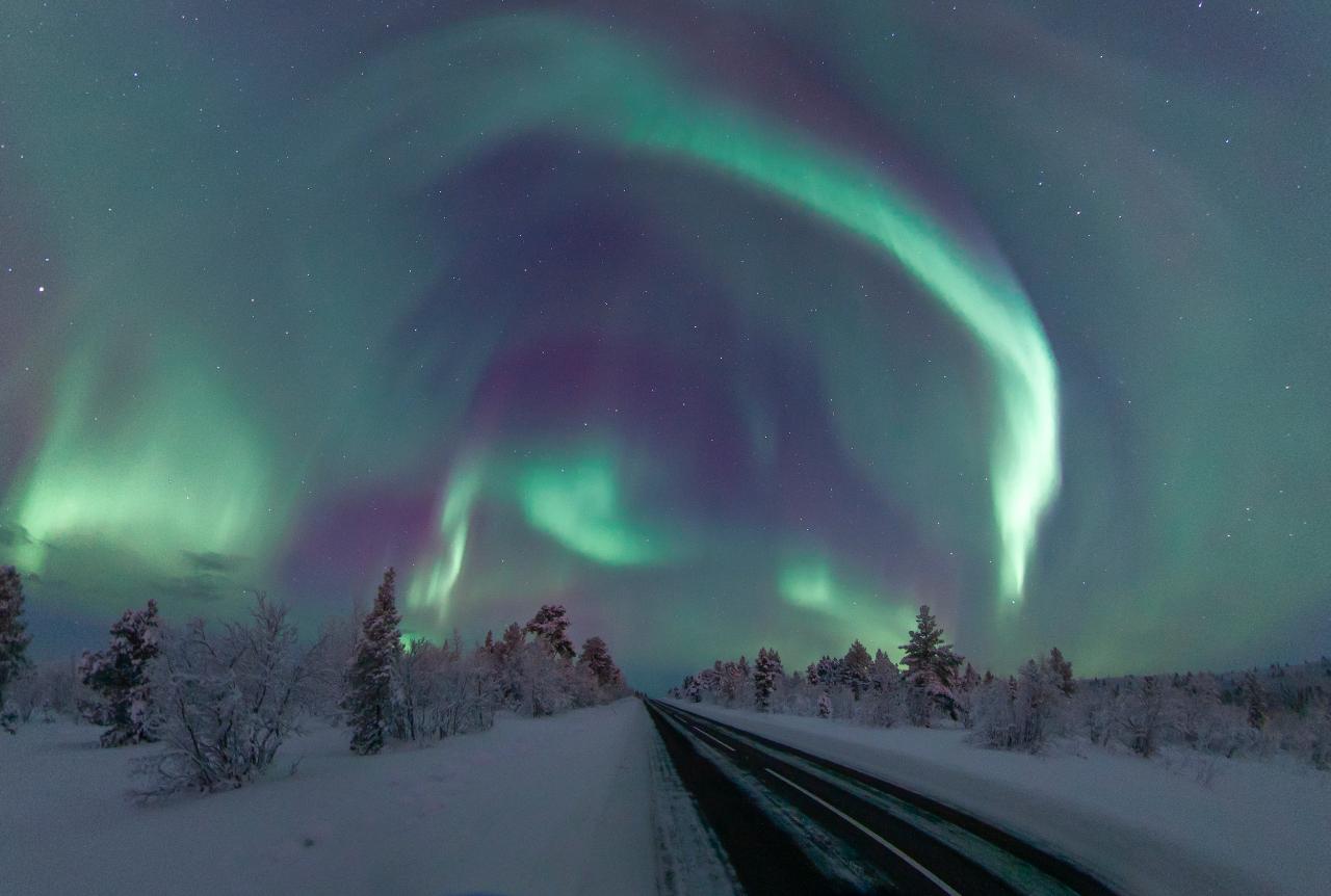 Northern Lights Tour Kiruna - Small Groups - Aurora Chase - Local Street Food Dinner