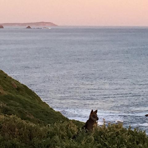 Ramble Phillip Island