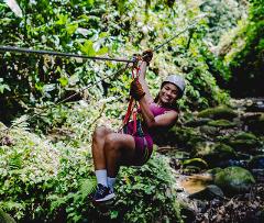 Caribbean Zipline and Canopy