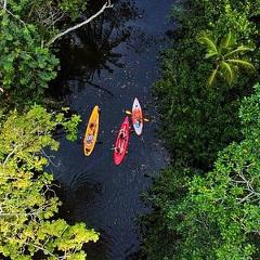 River and Sea Kayaking