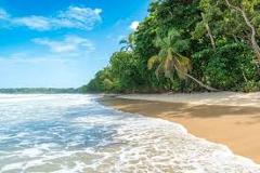 Pura Vida Beach Experience 
