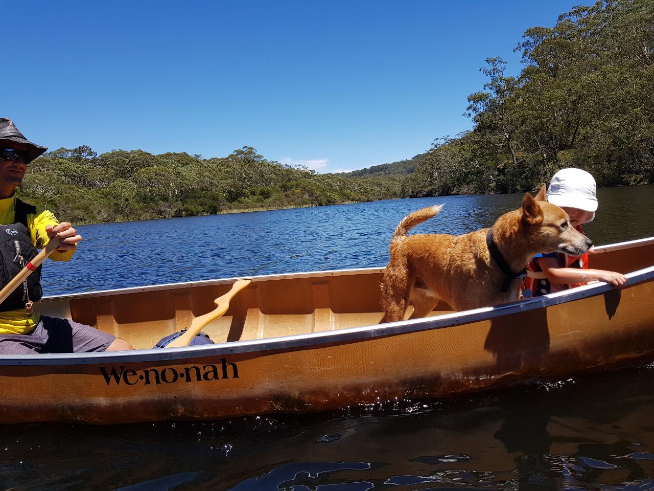 Doggie Paddle Half Day Canoe Hire