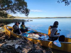 Shoalhaven Gorge Multi-day Self-Guided Canoe Hire (Family Ultralight Canoe)