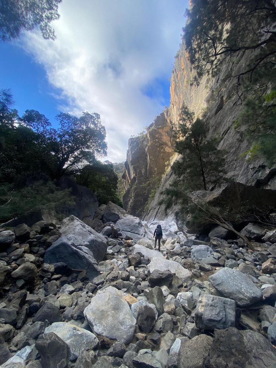 Explore Bungonia National Park - Full Day Guided Bushwalk