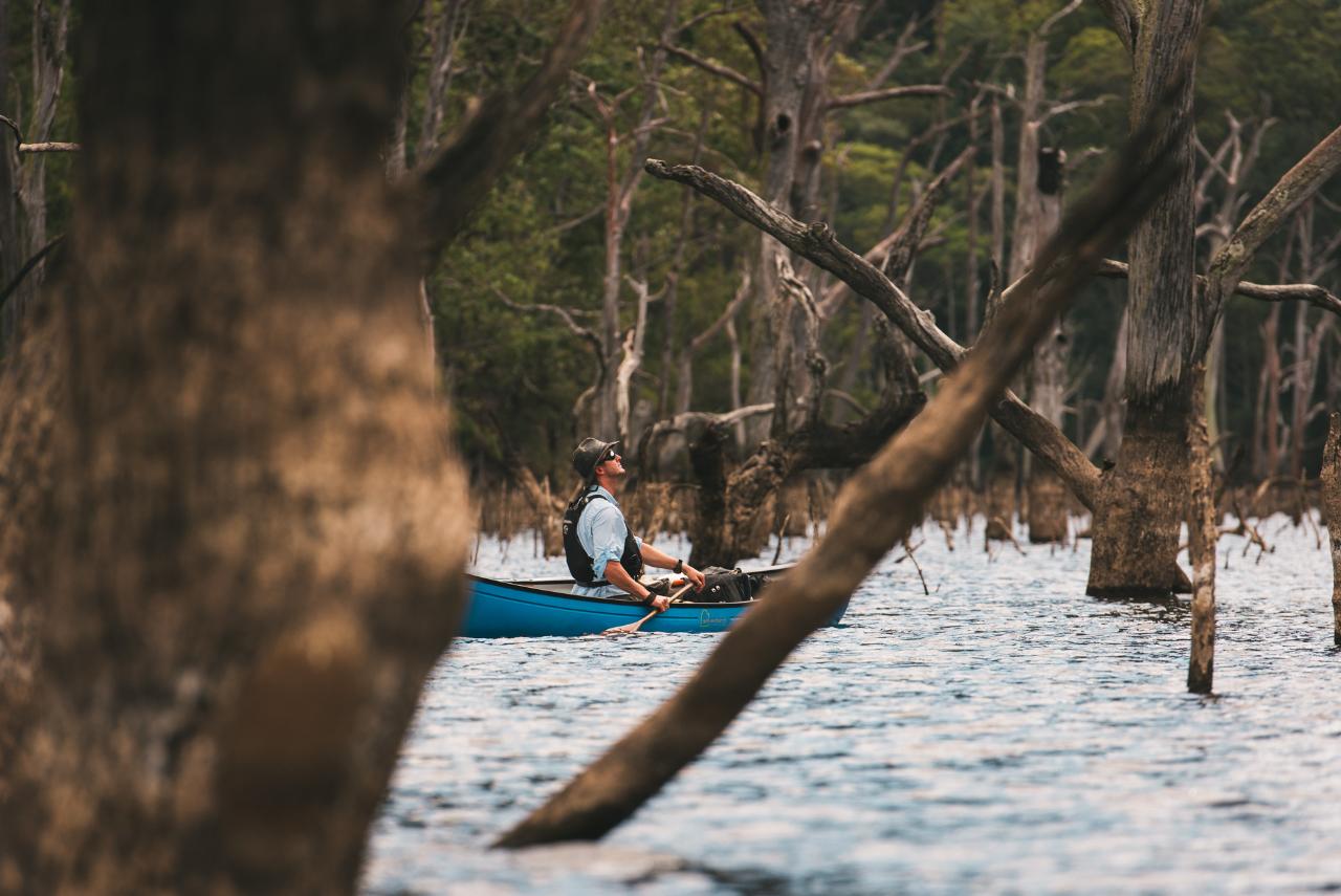 2-Seater Standard Canoe Hire - Tallowa Dam