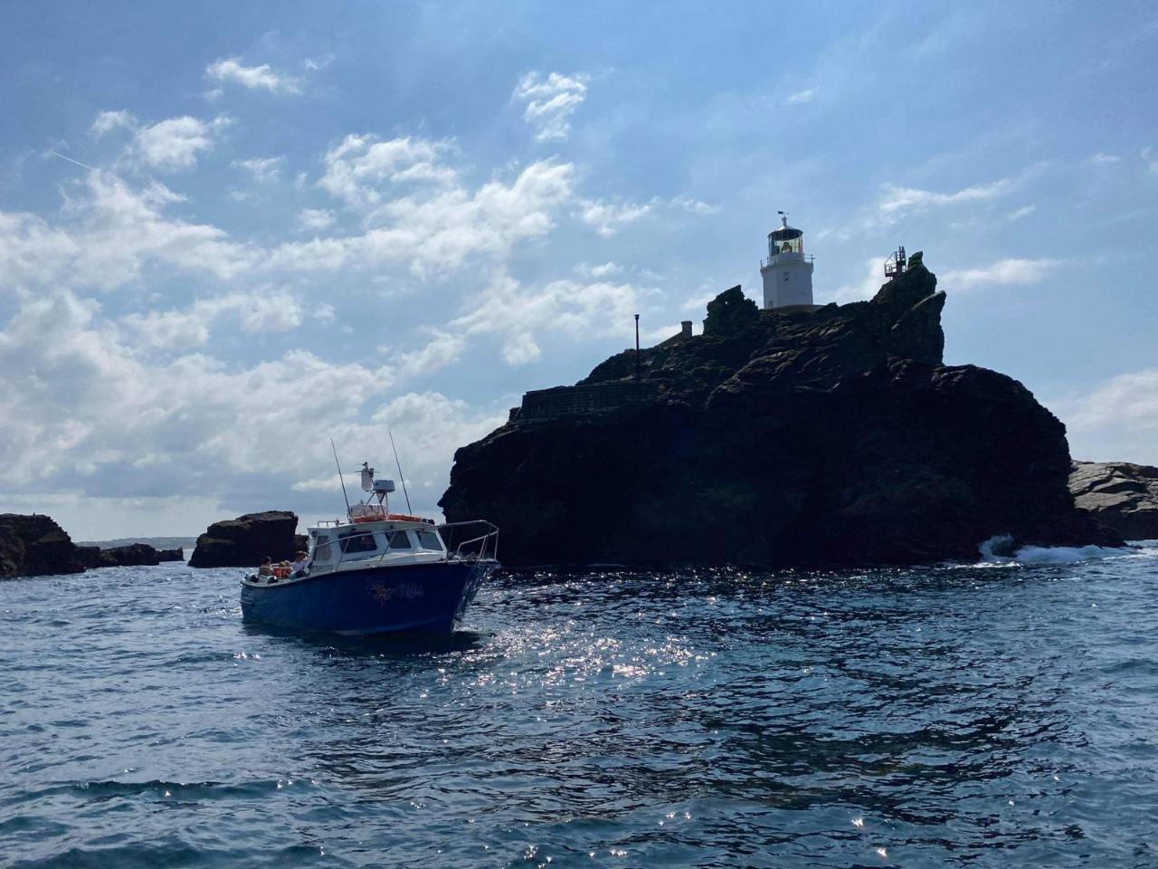 Godrevy Lighthouse Tiger Lilly St Ives Reservations