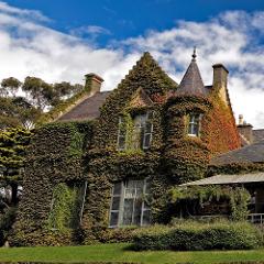 Sunday High Tea with a Full Castle Tour