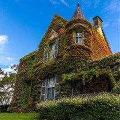 Selected Sundays - Guided Castle Tour (both levels)