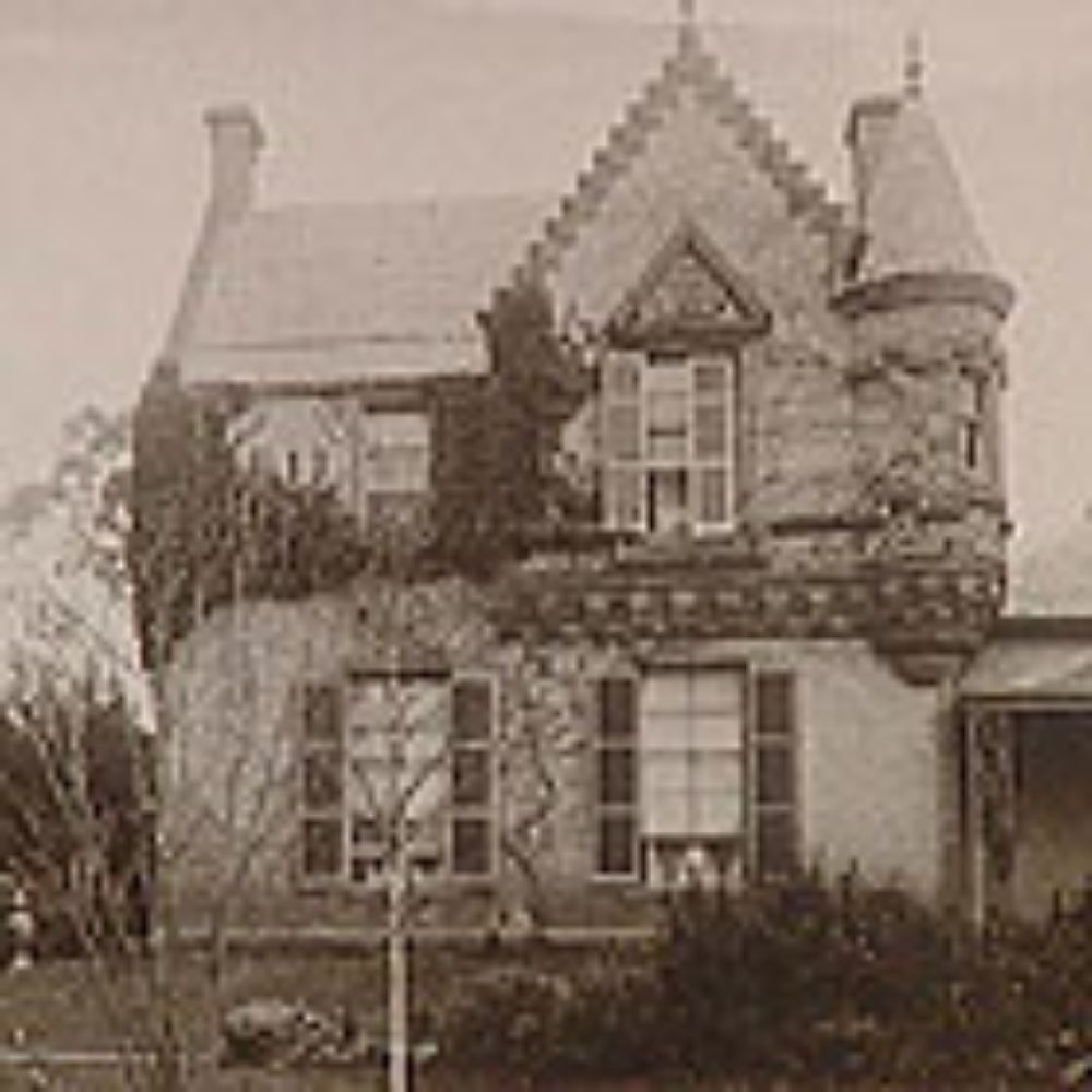 Sunday 24th November - Scottish Festival