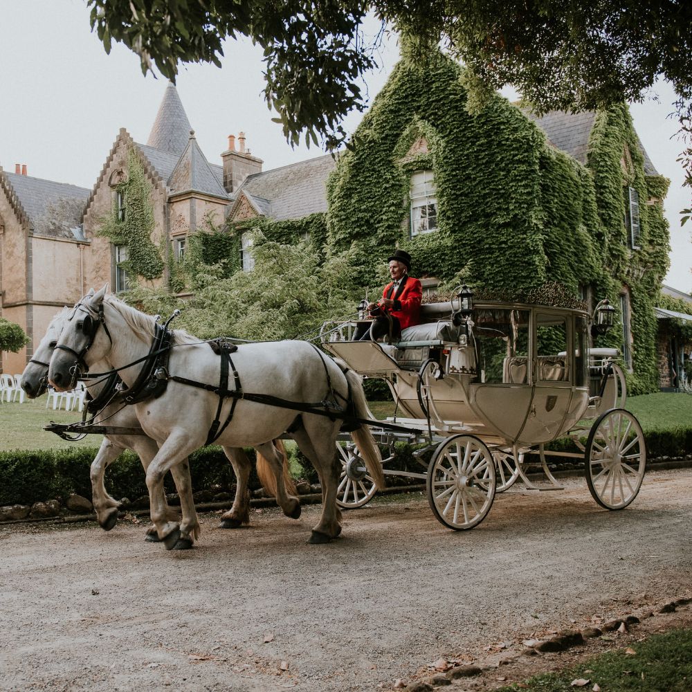 Sunday Traditional High Tea with Full Tour - Child