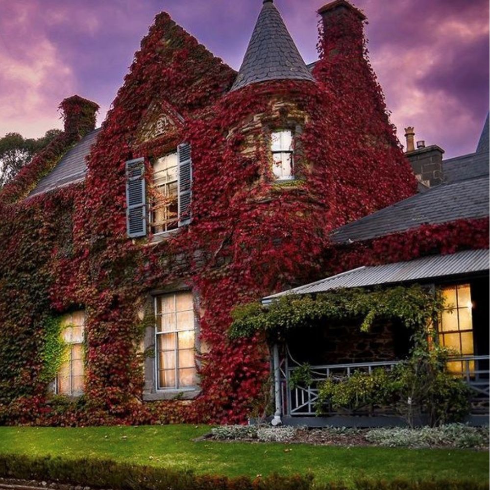 Friday 14th February Valentine's Dinner at Overnewton Castle