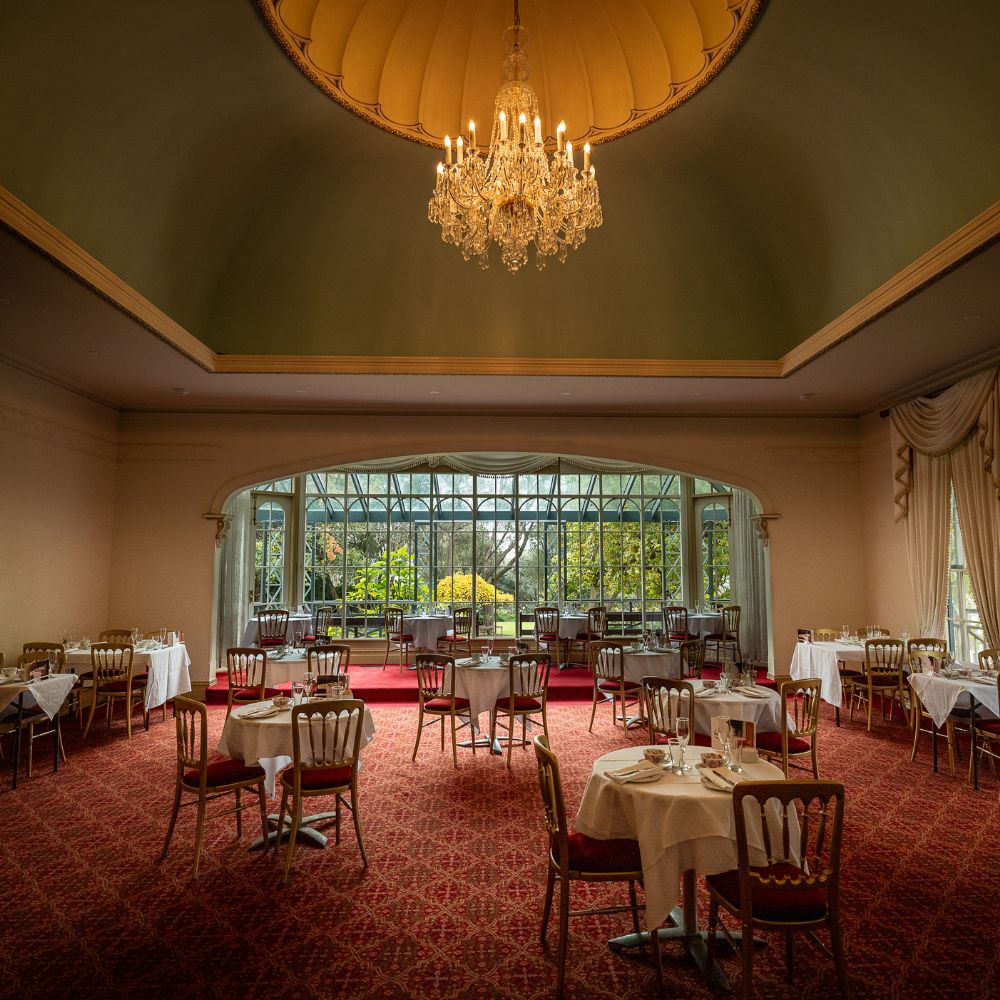 Friday 4th July - Drag Bingo Dinner Show