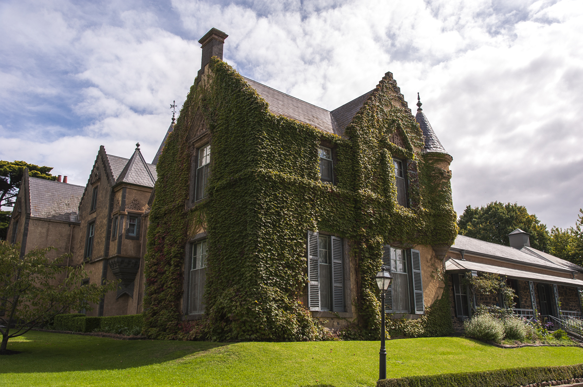 Mid-Week High Tea with a Ground Floor Tour - Child Pass